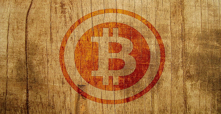 bitcoin, uang tunai, koin, komputer, digital, internet, uang, teknik, teknologi, Wallpaper HD