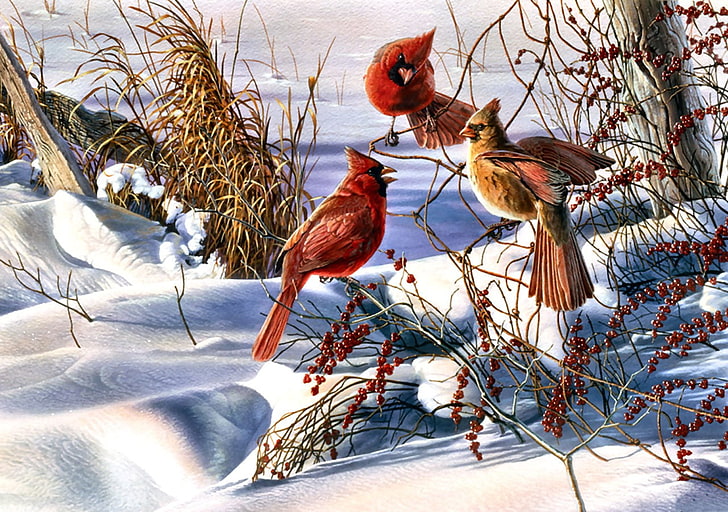 pittura uccello cardinale rosso, Natale, cardinali, uccelli, neve, Sfondo HD