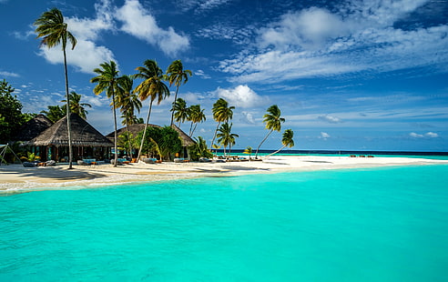 4k, Малдиви, бряг, небе, Индийски океан, 5k, Най-добрите плажове в света палми, 8k, HD тапет HD wallpaper