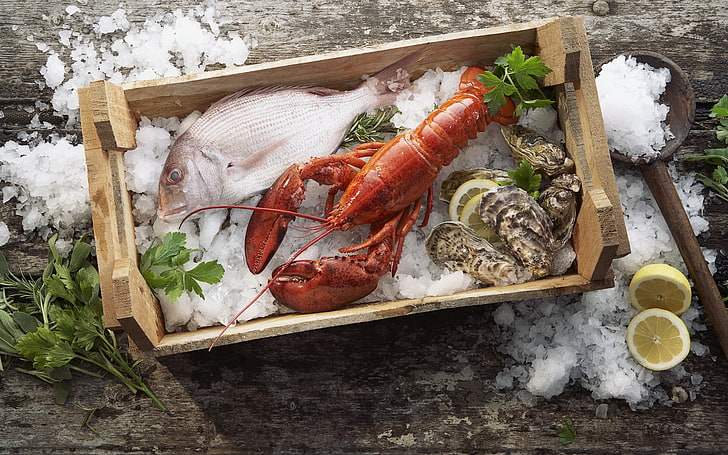crayfish and gray fish, lobster, fish, mussels, ice, seafood, box, HD wallpaper