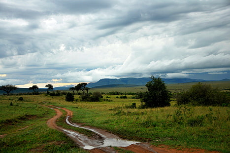 пейзажна фотография на поле със зелена трева под облачно небе, дълъг път, пейзажна фотография, зелена трева, тревно поле, облачно, небе, Picnik, masai mara, Maasai Mara, облаци, ден, път, път, зелена гора, Африка, планина , Танзания, Серенгети, игра, Савана, природа, облак - небе, пейзаж, живопис, на открито, облак, лято, HD тапет HD wallpaper
