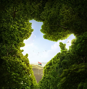 зеленый лист дерева, индия, флаг индии, деревья, CGI, HD, HD обои HD wallpaper