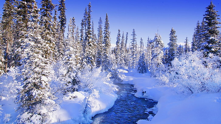 trees forest torrent snow landscapes Nature Winter HD Art , Trees, forest, HD wallpaper
