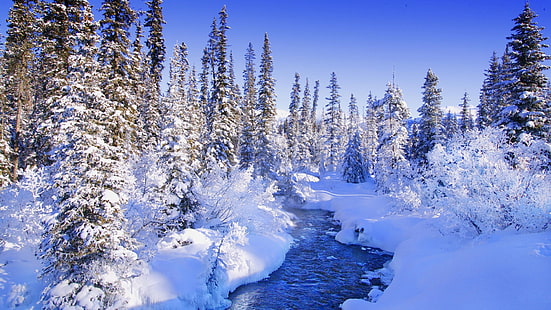 arbres forêt paysages de neige torrent Nature hiver HD Art, arbres, forêt, Fond d'écran HD HD wallpaper