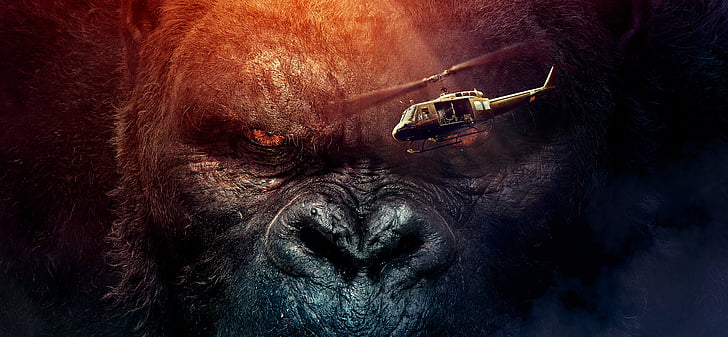 Kong: Kafatası Adası, King Kong, HD, HD masaüstü duvar kağıdı