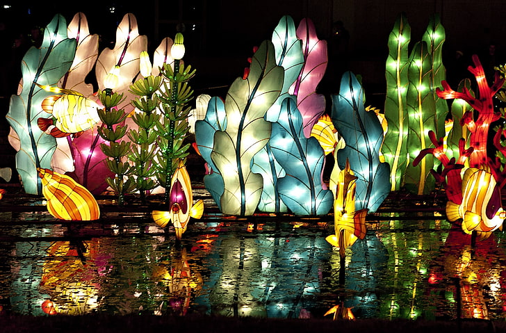 Фестиваль китайских фонариков, разноцветные цветочные светодиодные декоры, Архитектура, Фестиваль, Китайский, Фонарь, HD обои
