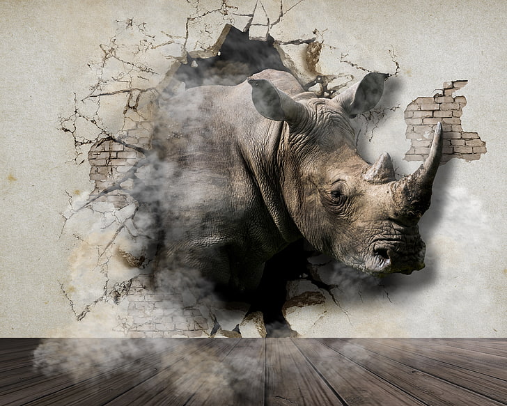 rhinoceros, cracks, wall, art, HD wallpaper