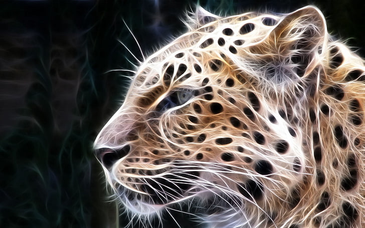 взрослая иллюстрация леопарда, леопард, свет, линии, свечение, HD обои