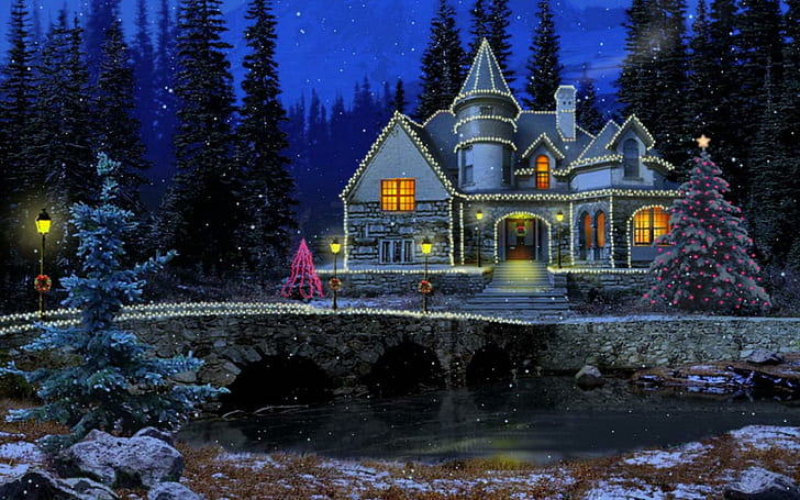 Праздничная зимняя ночь, милые, времена года, праздничные зимние ночи, каникулы, канал, красивые, счастливые, художественные, деревья, мирные, HD обои