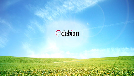 linux debianテクノロジーLinux HD Art、linux、Debian、 HDデスクトップの壁紙 HD wallpaper