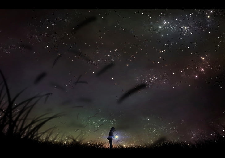 pessoa em pé no campo sob o céu estrelado, anime, HD papel de parede