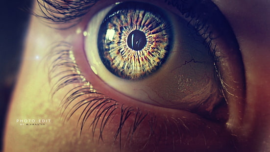 ojo humano, ojo, pupila, pestañas, Fondo de pantalla HD HD wallpaper