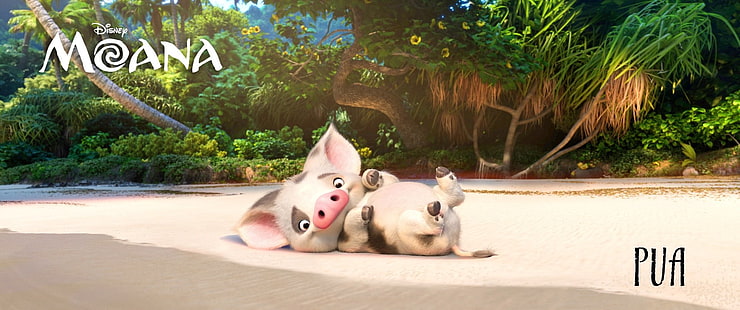 Film, Moana, Moana (Film), Schwein, Pua (Moana), HD-Hintergrundbild HD wallpaper