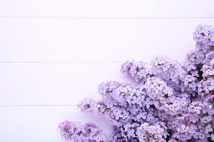 flores, fondo, madera, lila, púrpura, Fondo de pantalla HD