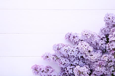 flores, fondo, madera, lila, púrpura, Fondo de pantalla HD HD wallpaper