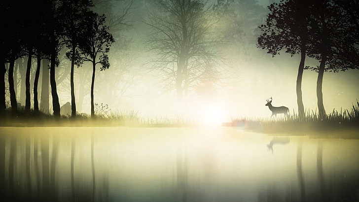 digital art, fantasy art, animals, deer, nature, landscape, trees, water, mist, silhouette, reflection, HD wallpaper