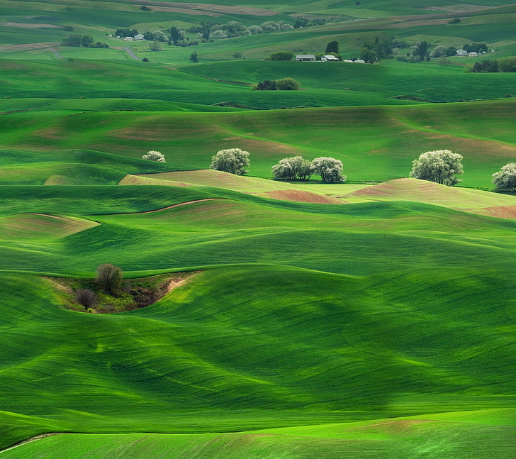 Grassland, Huawei Mate 10, Landscape, Stock, Scenery, Greenery, HD wallpaper