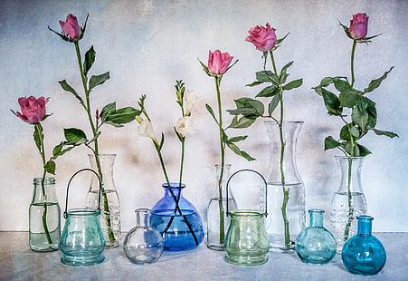 Stillleben, Vasen, Blumen, HD-Hintergrundbild HD wallpaper