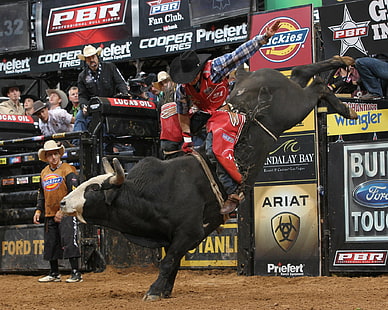 13 jpg, bull, bullrider, cow, cowboy, extreme, riding, rodeo, western, HD wallpaper HD wallpaper