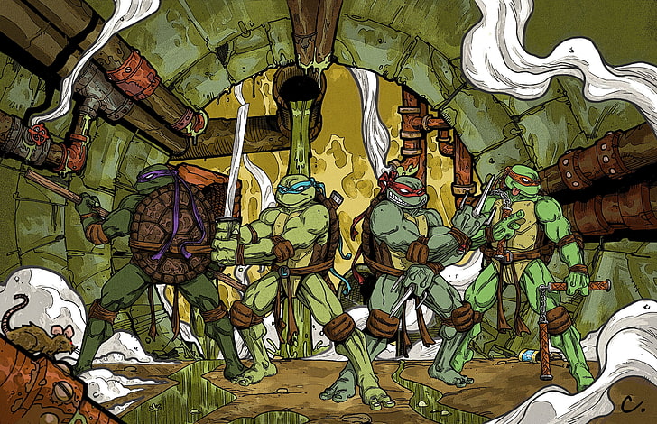 lampu meja bunga cokelat dan hijau, Teenage Mutant Ninja Turtles, warrior, kartun, Wallpaper HD