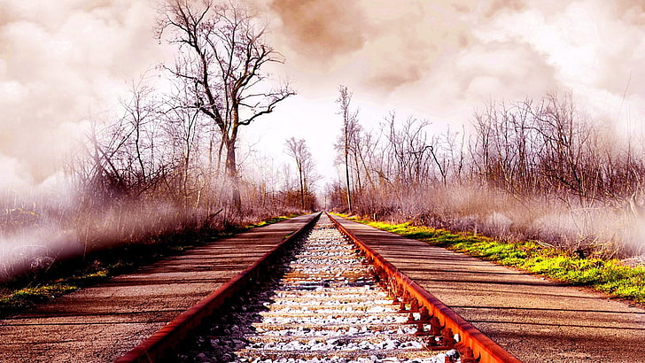 autumn, railway, gravel, mist, railroad, HD wallpaper