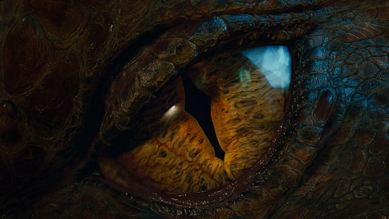 fondo de pantalla de ojo de dragón, Smaug, The Hobbit, dragón, ojos, películas, Fondo de pantalla HD HD wallpaper