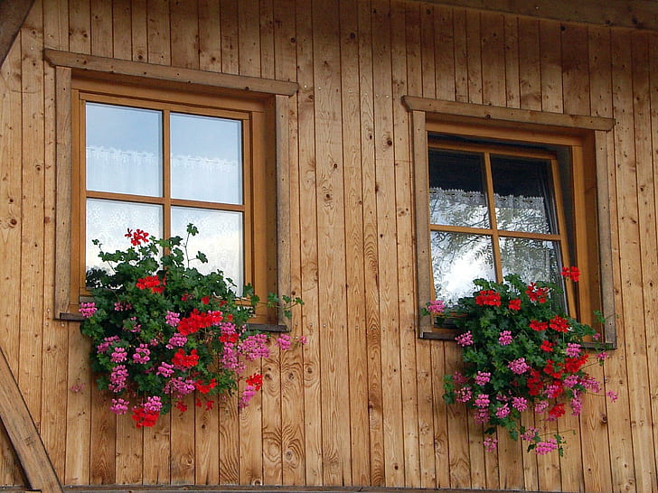 Fensterkästen, braunes Holzhaus, Spitzengardinen, Fenster, Pelargonie, Holzhaus, Fensterkästen, 3d und Zusammenfassung, HD-Hintergrundbild