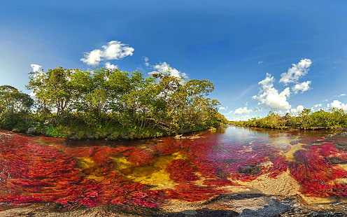 Rzeka Cano Cristales to jedyny na świecie kraj Ameryki Łacińskiej, Kolumbia Płynny, tęczowy dopływ rzeki Guayabero, Tapety HD HD wallpaper