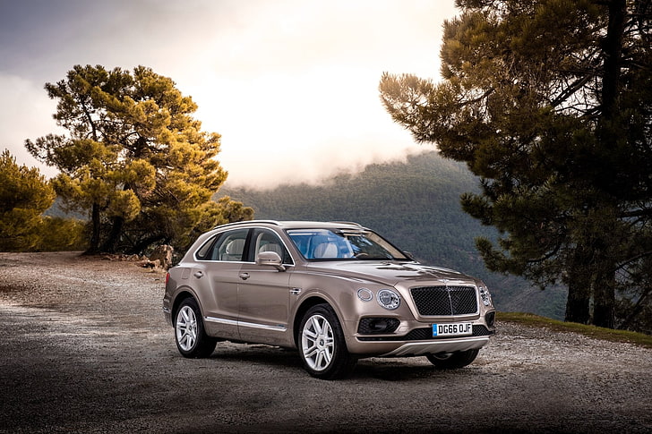 Bentley, Bentley Bentayga, Car, Luxury Car, SUV, Silver Car, Vehicle, HD wallpaper