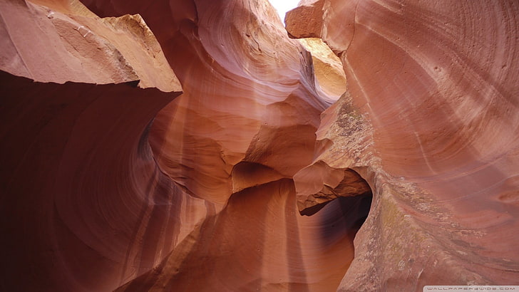 茶色と白の花のテキスタイル、アンテロープキャニオン、岩の形成、峡谷、砂漠、 HDデスクトップの壁紙