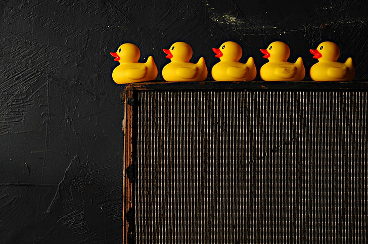 rubber Ducks, Still life, HD wallpaper