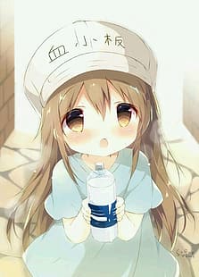 gadis anime, Platelet-chan, blush on, rambut panjang, Hataraku Saibou, berambut cokelat, topi baseball, mata coklat, loli, gaun biru, Wallpaper HD HD wallpaper