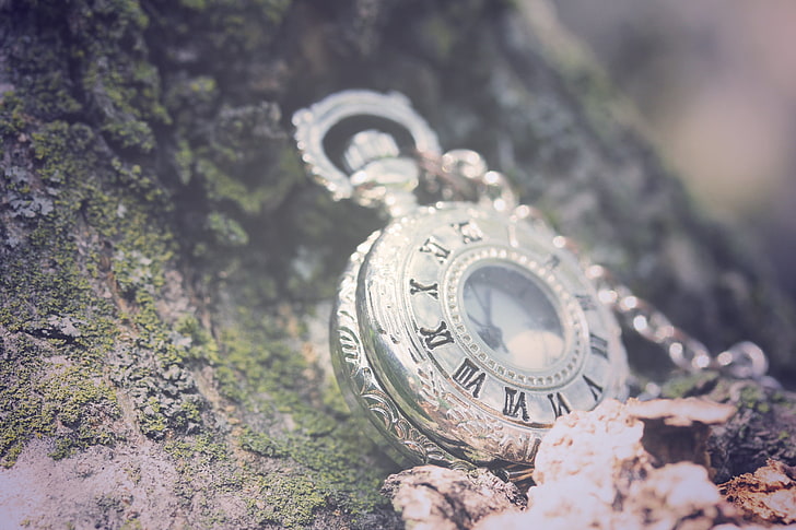 round white and silver-colored pocket watch, greens, leaves, macro, stones, background, watch, chain, Roman numerals, HD wallpaper