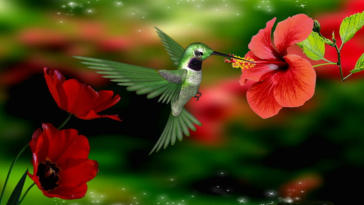 animais, beija-flor, pássaro, flor, HD papel de parede