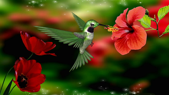 hewan, burung kolibri, burung, bunga, Wallpaper HD HD wallpaper