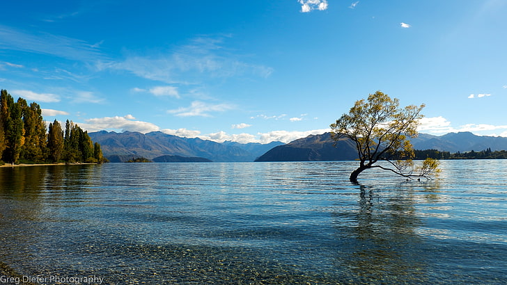 brown and white sea waves, nature, landscape, water, trees, Lake Wanaka, mountains, New Zealand, calm, HD wallpaper
