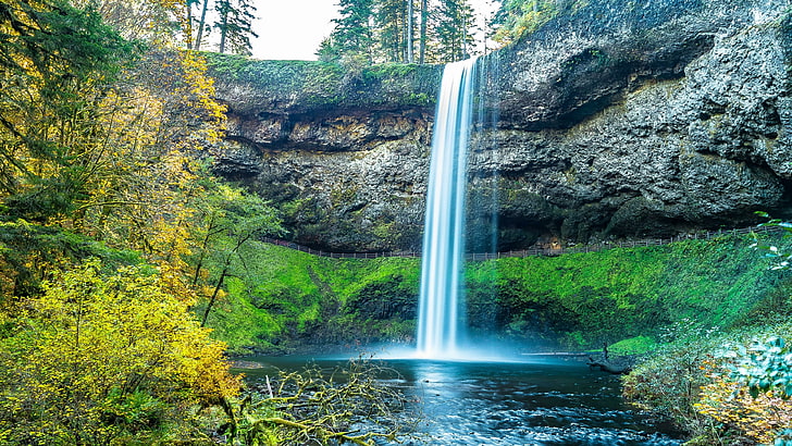 waterfall, nature, water, silver falls state park, body of water, state park, oregon, united states, autumn, yellow leaves, chute, HD wallpaper