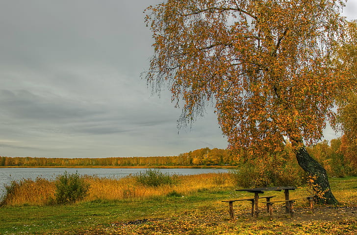 осень, трава, листья, река, берег, береза, стол, скамейки, HD обои