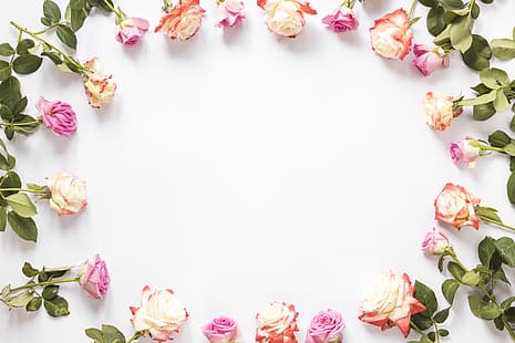 цветы, фон, розы, бутоны, розовые, HD обои HD wallpaper