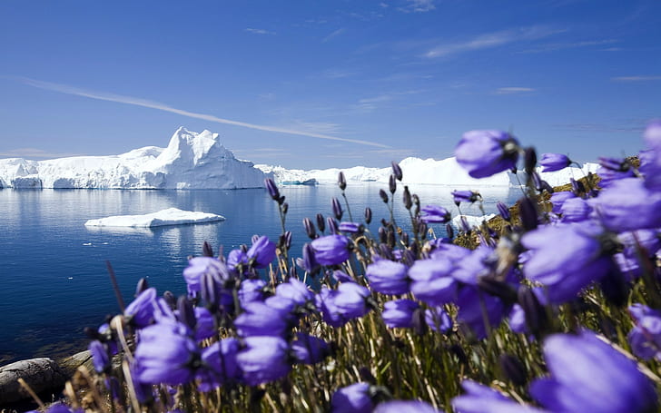 krajobraz, krajobrazy skandynawskie, góra lodowa, lód, wiosna, przyroda, Tapety HD
