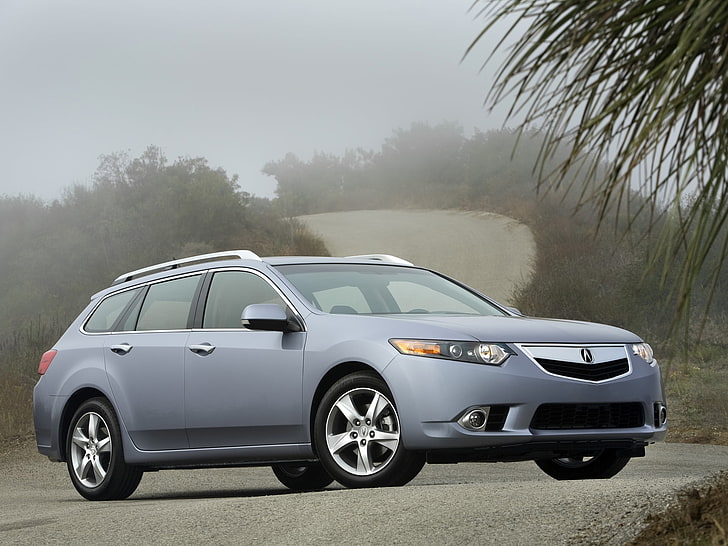 gray Acura 5-door hatchback, acura, tsx, 2010, blue, side view, style, cars, nature, shrubs, trees, HD wallpaper