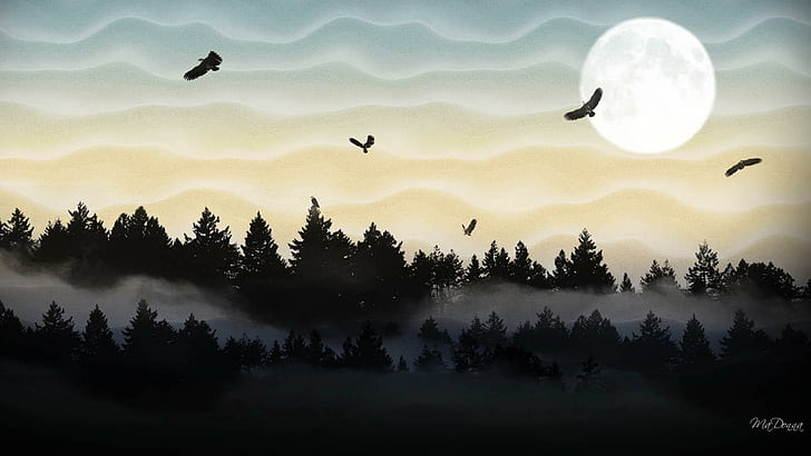Cool Morning Mist, berkabut, kabut, elang, pohon, hutan, burung, berkabut, bulan, 3d dan abstrak, Wallpaper HD