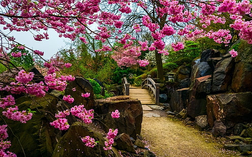 حديقة يابانية، خلفية HD HD wallpaper