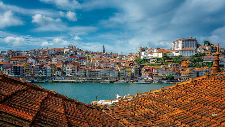telhado, rio, construção, casa, portugal, porto, porto, rio douro, o rio duero, HD papel de parede