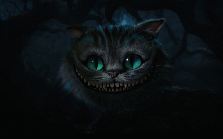 gray cat illustration, Alice in Wonderland, cat, HD wallpaper