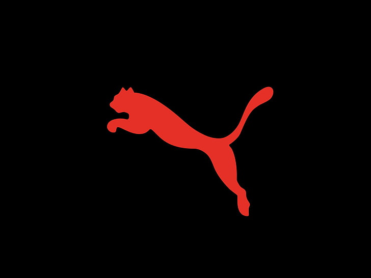 Puma, HD-Hintergrundbild