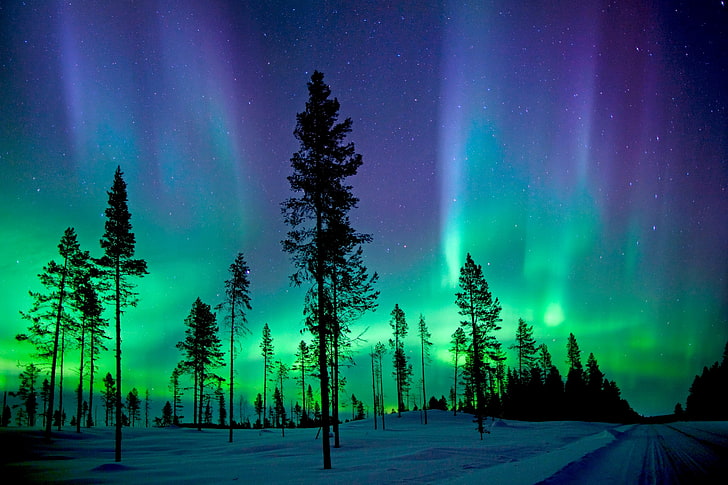 Parc national Abisko, aurores boréales, Aurora Borealis, Fond d'écran HD