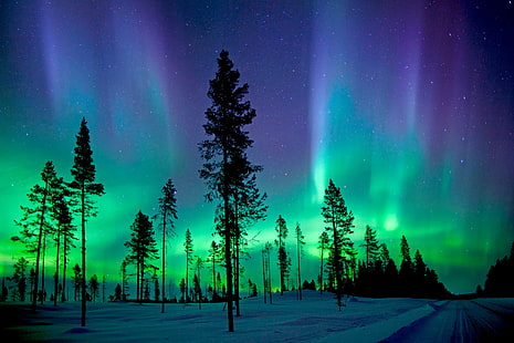 Parque Nacional Abisko, Aurora Boreal, Aurora Boreal, Fondo de pantalla HD HD wallpaper
