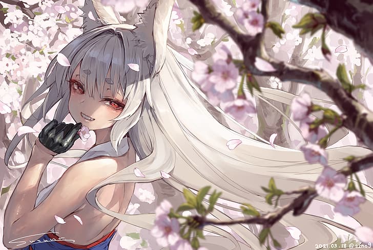 anime, anime girls, original characters, fox girl, fox ears, Sakura blossom, Suzuno, HD wallpaper