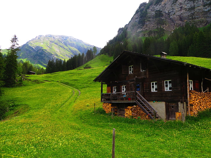Alps, Bernese Alps, Chalet, grass, Green, Lenk, mountains, Pine Trees, Swiss Alps, Switzerland, HD wallpaper